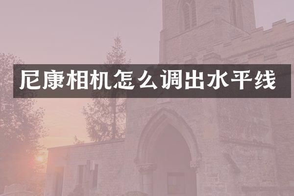 尼康相机怎么调出水平线