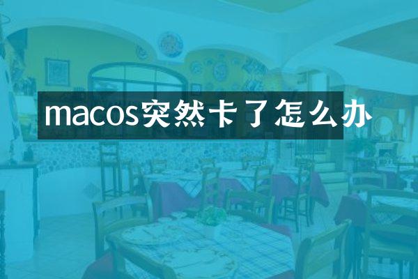 macos突然卡了怎么办