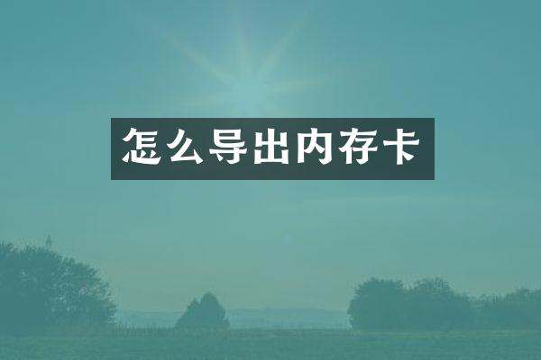 怎么导出内存卡
