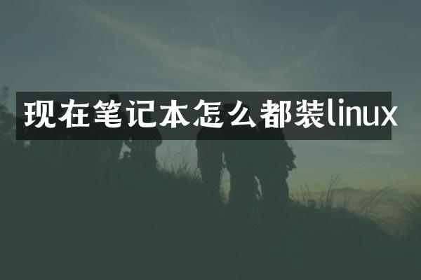 现在笔记本怎么都装linux