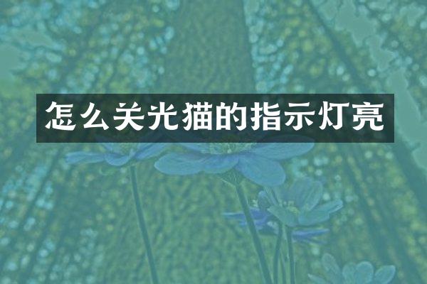 怎么关光猫的指示灯亮