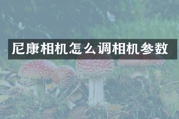 尼康相机怎么调相机参数