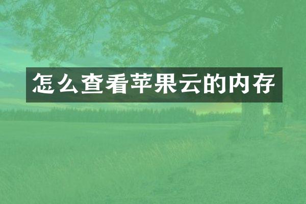 怎么查看苹果云的内存