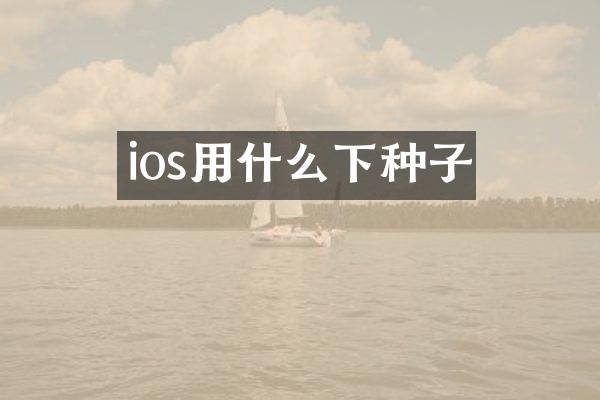 ios用什么下种子