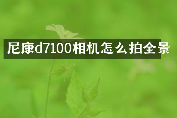 尼康d7100相机怎么拍全景