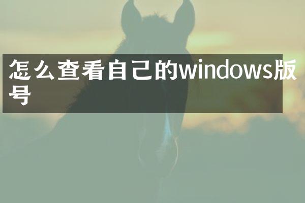 怎么查看自己的windows版本号
