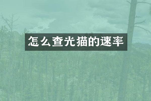 怎么查光猫的速率