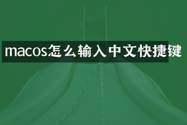 macos怎么输入中文快捷键
