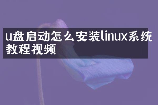 u盘启动怎么安装linux系统教程视频