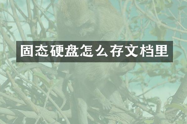 固态硬盘怎么存文档里