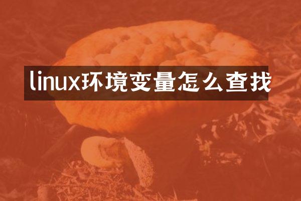 linux环境变量怎么查找