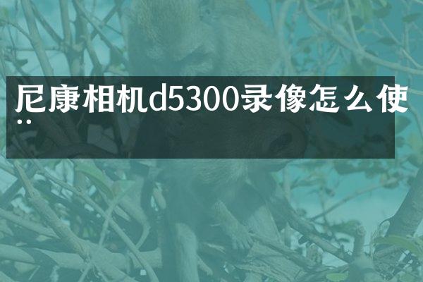 尼康相机d5300录像怎么使用