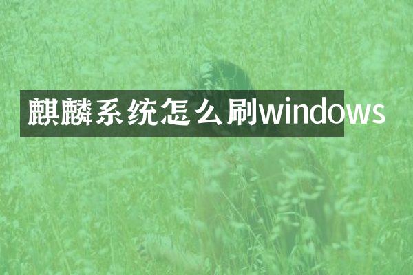 麒麟系统怎么刷windows