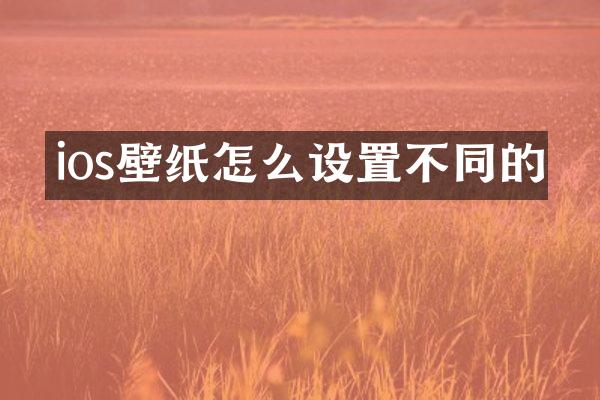 ios壁纸怎么设置不同的