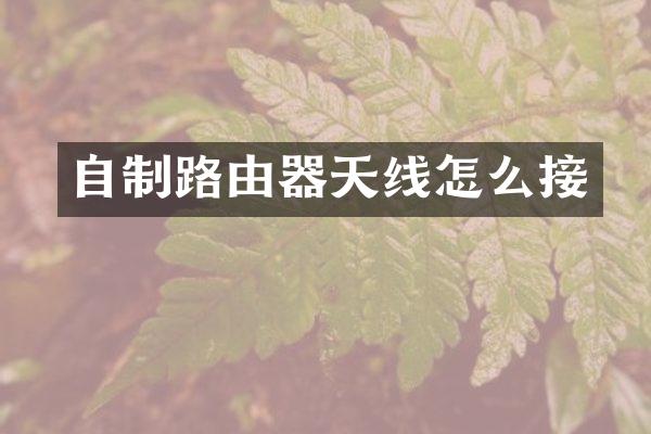 自制路由器天线怎么接