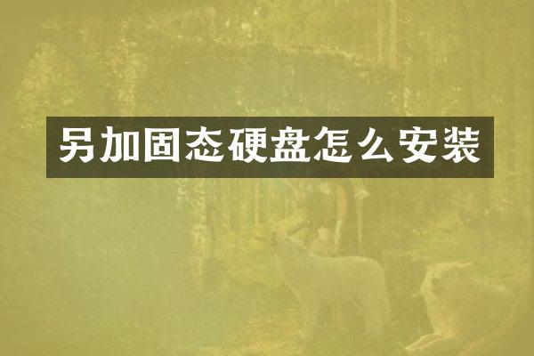 另加固态硬盘怎么安装