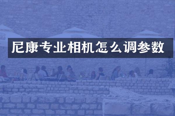 尼康专业相机怎么调参数