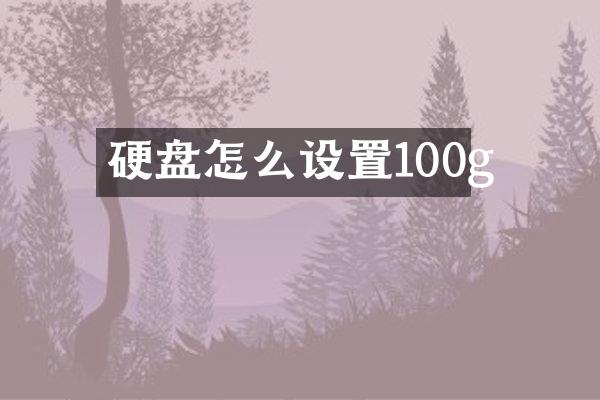 硬盘怎么设置100g