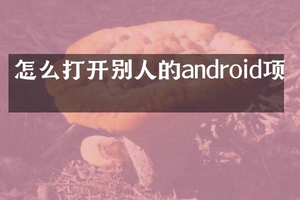怎么打开别人的android项目