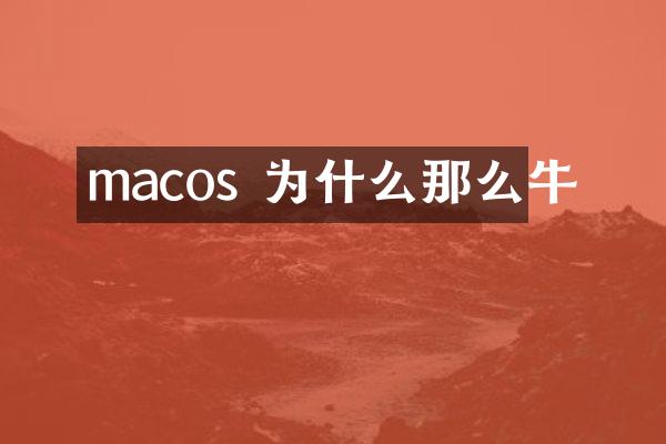 macos 为什么那么牛