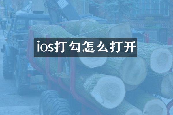 ios打勾怎么打开