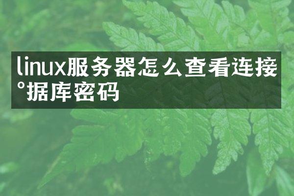 linux服务器怎么查看连接数据库密码