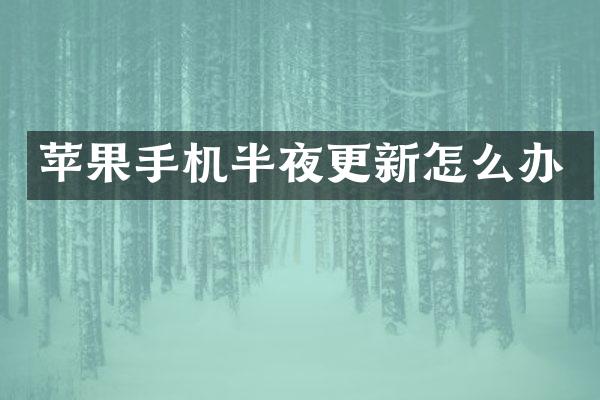 苹果手机半夜更新怎么办