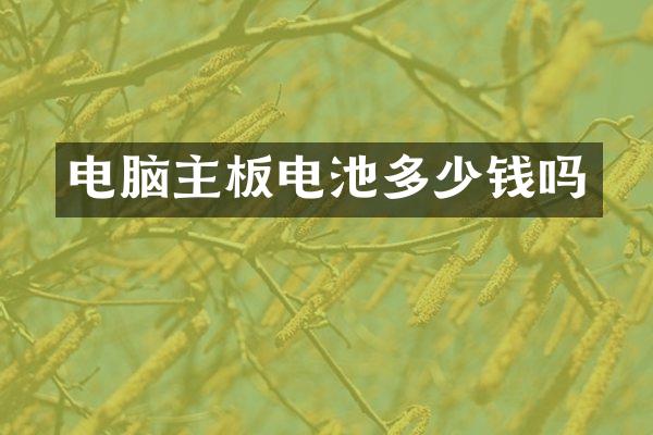 电脑主板电池多少钱吗