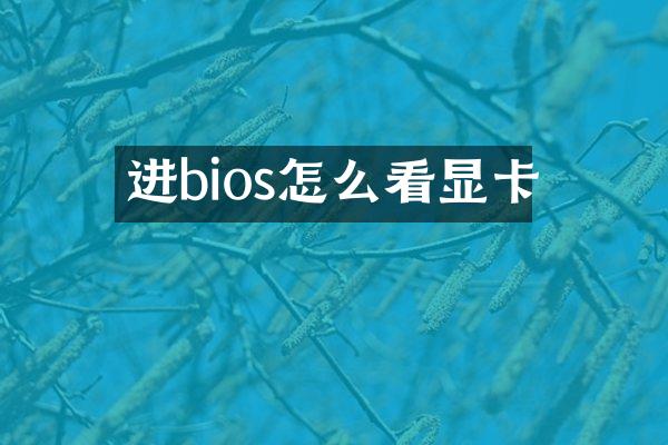 进bios怎么看显卡
