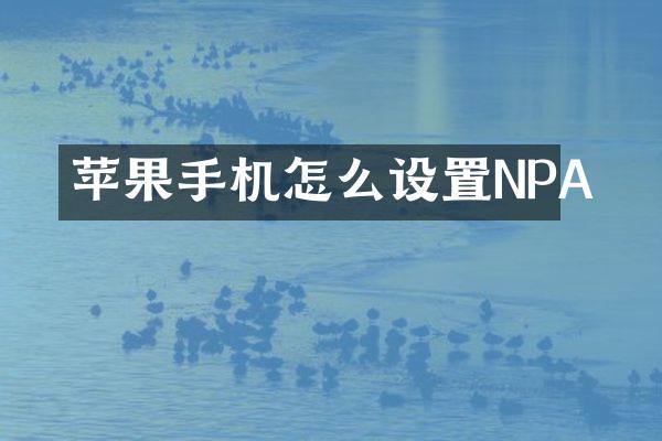 苹果手机怎么设置NPA