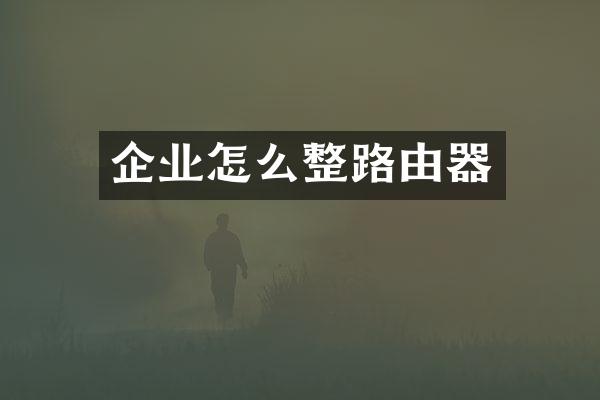 企业怎么整路由器