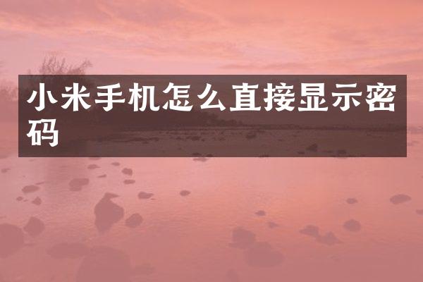 小米手机怎么直接显示密码
