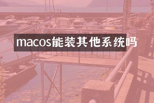 macos能装其他系统吗