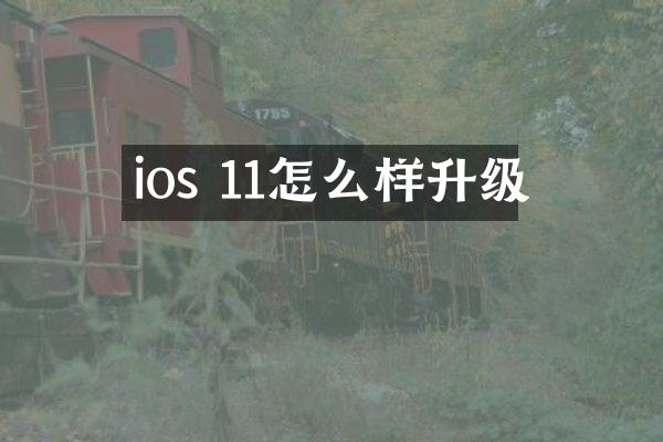 ios 11怎么样升级