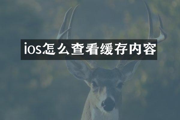 ios怎么查看缓存内容