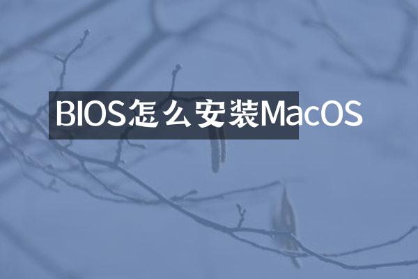 BIOS怎么安装MacOS