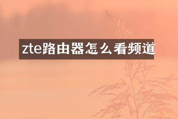 zte路由器怎么看频道
