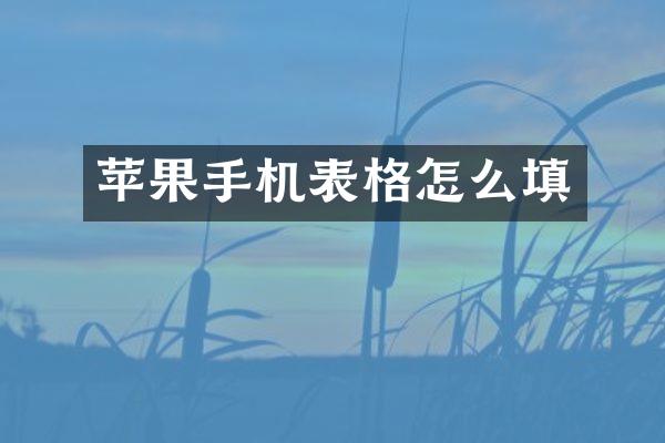苹果手机表格怎么填