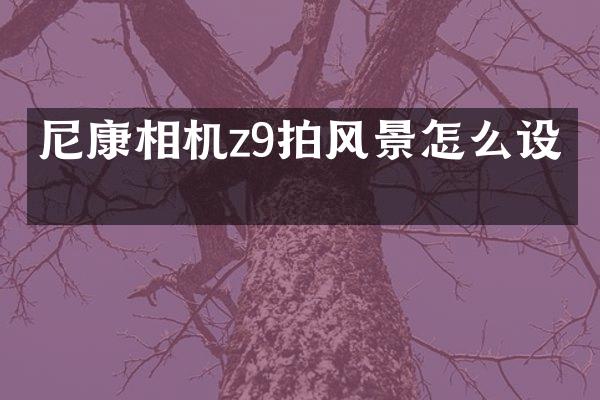 尼康相机z9拍风景怎么设置