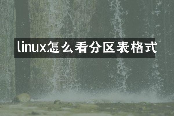 linux怎么看分区表格式