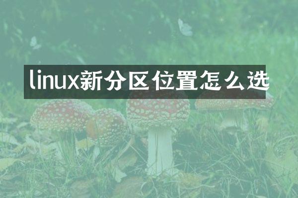linux新分区位置怎么选