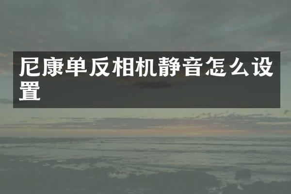 尼康单反相机静音怎么设置