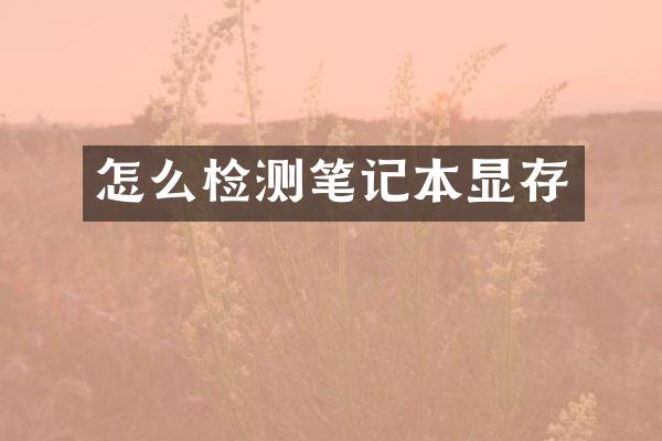 怎么检测笔记本显存