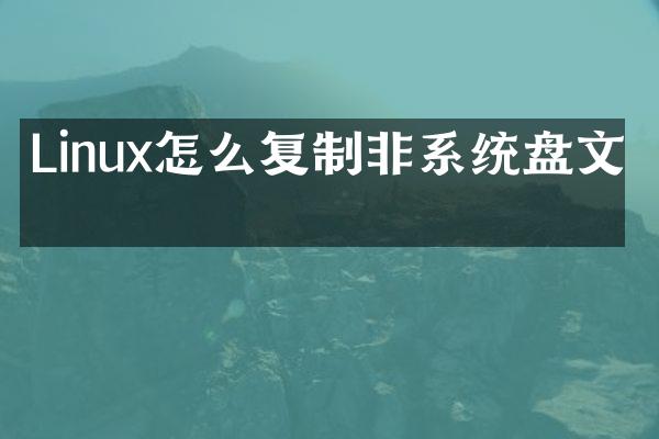 Linux怎么复制非系统盘文件