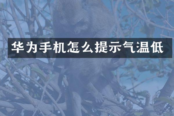 华为手机怎么提示气温低