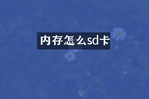 内存怎么sd卡