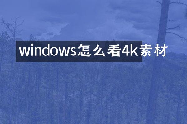 windows怎么看4k素材