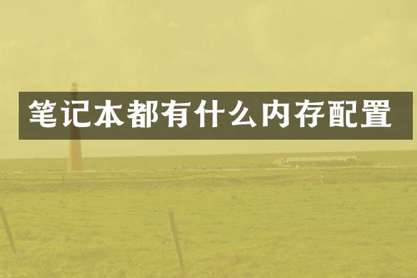 笔记本都有什么内存配置
