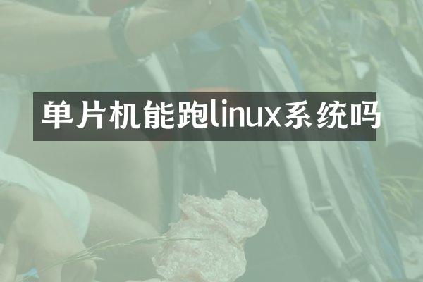 单片机能跑linux系统吗