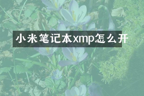 小米笔记本xmp怎么开
